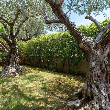 Villa Rosini